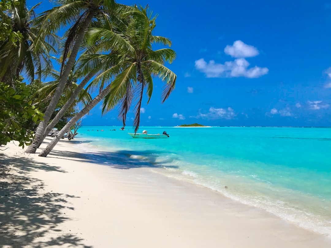 Solo Travel